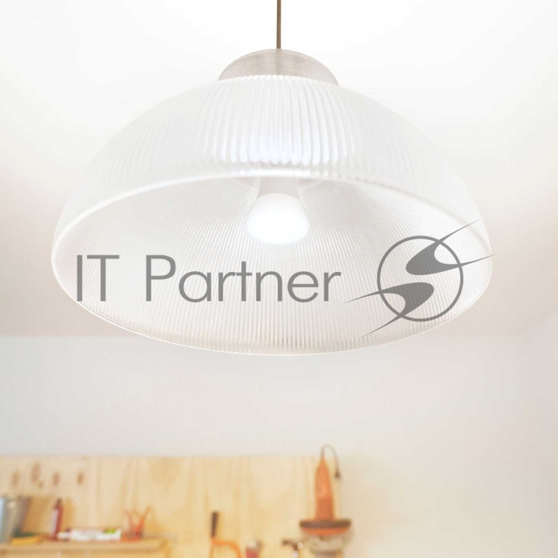 Лампа белая с цоколем Е27 - повышенной яркости Philips Hue White 100W bulb