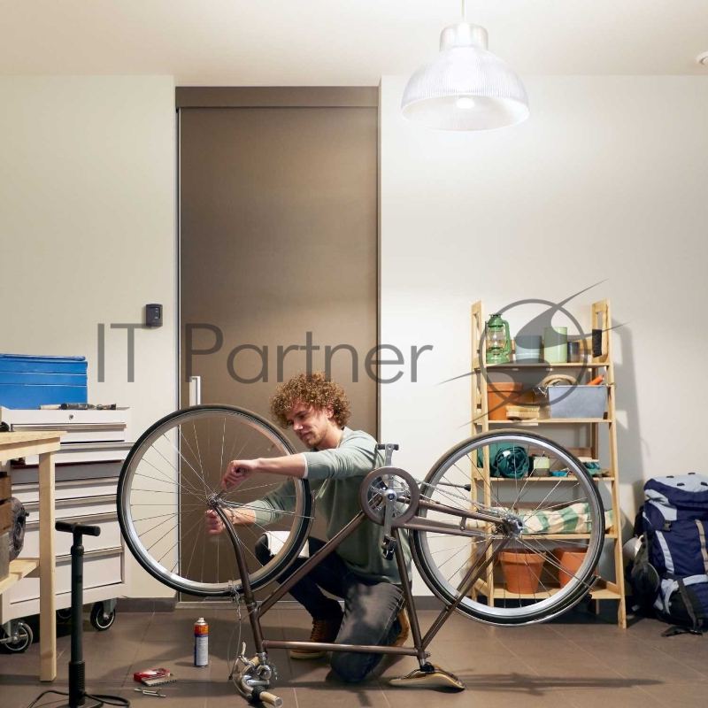 Лампа белая с цоколем Е27 - повышенной яркости Philips Hue White 100W bulb