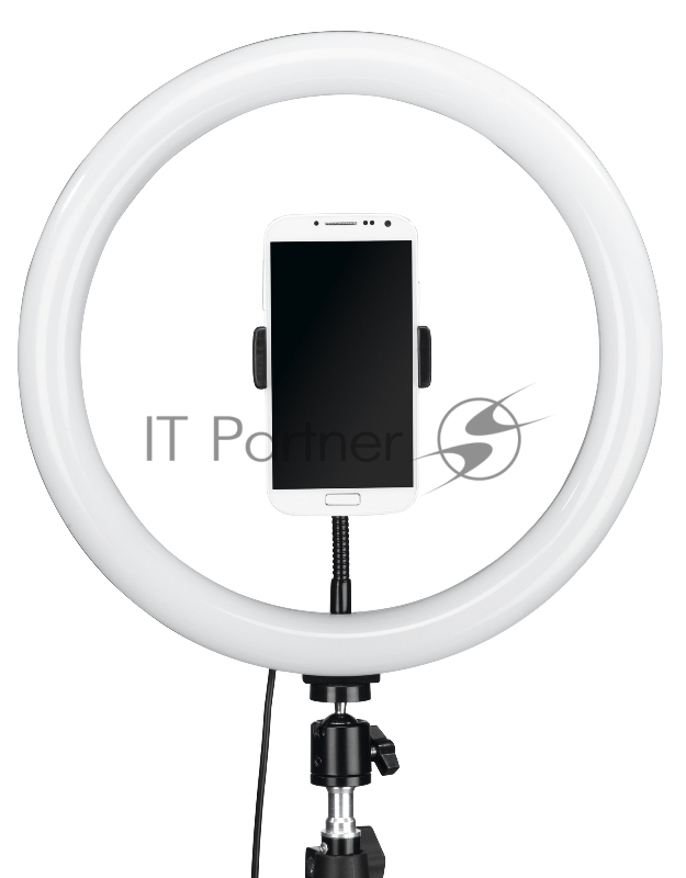 Осветитель светодиодный Hama SpotLight Steady 120