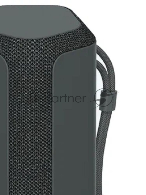 Акустическая система BLUETOOTH BLACK SRS-XE300/BCE SONY