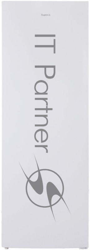 Морозильная камера Бирюса Б-6047SN белый