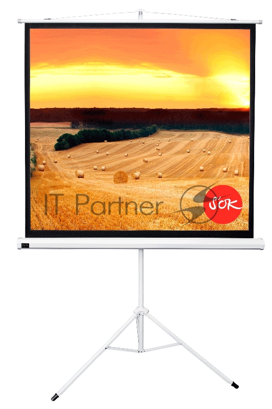 Экран Cinema SOK SCPST-158x158 1:1 напольный, на треноге, Matt White, белый корпус