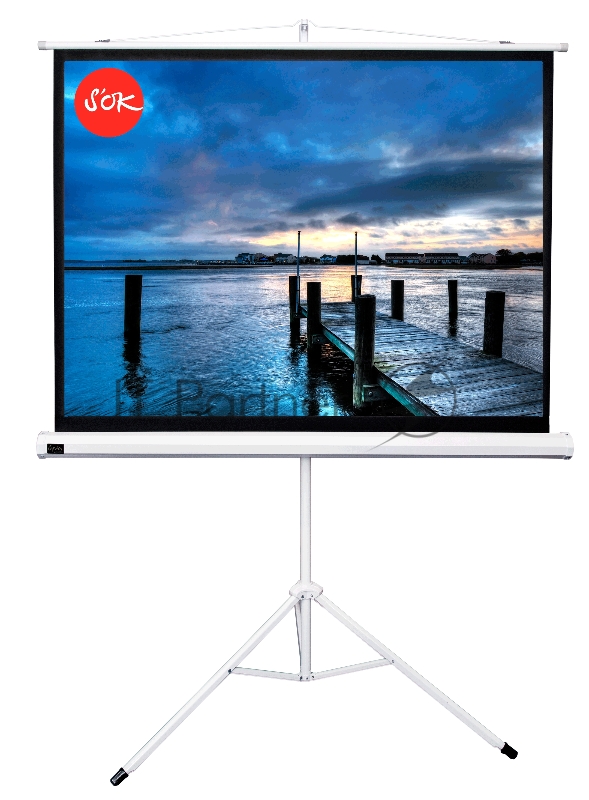 Экран Cinema SOK SCPST-240x180 4:3 напольный, на треноге, Matt White, белый корпус