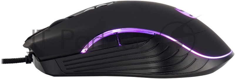 Мышь SunWind SW-M710G черный оптическая (3200dpi) USB для ноутбука (7but)