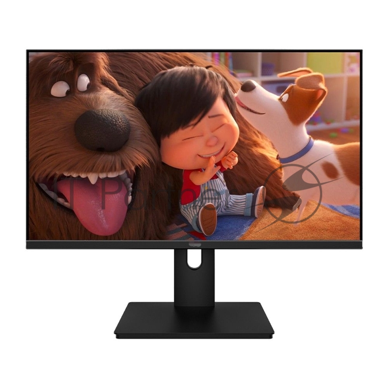 Монитор 23.8 AIWA MF240B Black (IPS, 1920x1080, D-sub+HDMI, 5 ms, 178°/178°, 250 cd/m, 1000:1)