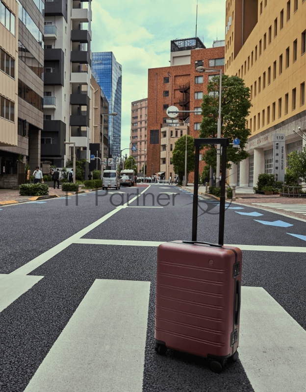 Чемодан NINETYGO Manhattan Frame Luggage 24 красный