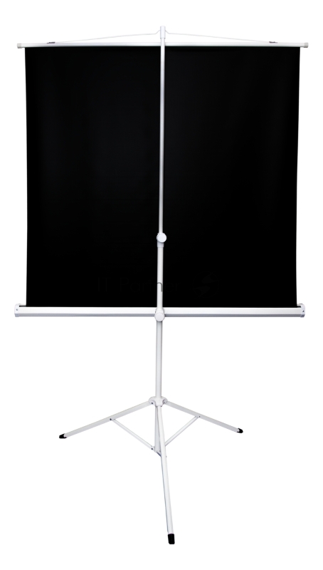 Экран Sakura 180x180см TriScreen 1:1 напольный рулонный белый 100 Matt White (MW), серый корпус