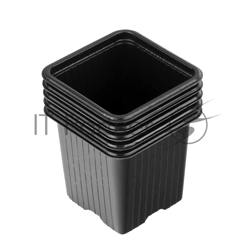 Горшочек для рассады, 70х70х65 мм, полистирол, 5 шт.// Россия