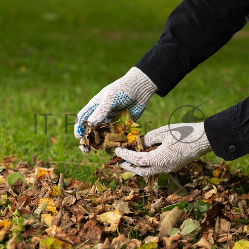 Перчатки трикотажные, с ПВХ точкой, 5 пар в упаковке, 7 класс// Россия