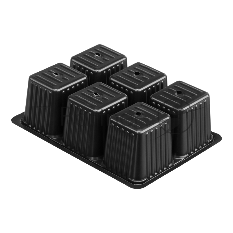 Кассета для рассады, 180х135х60 мм, 6 ячеек, полистирол, 5 шт.// Россия