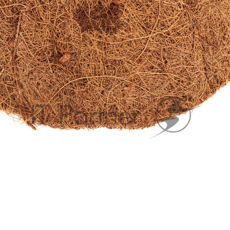 Вкладыш из коковиты полукруглый, диаметр 25 см// Palisad