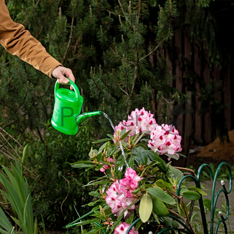 Лейка садовая, 2 л, пластмассовая // Россия