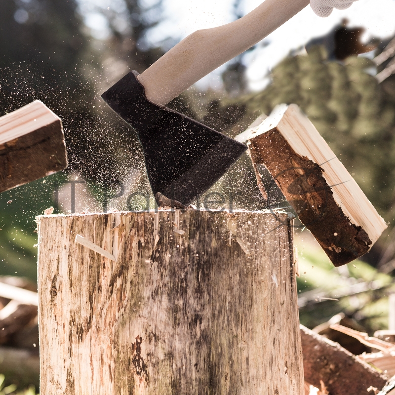 Топор кованный, в сборе, 890/1200 г, деревянное топорище, 500 мм, АО, (Ижевск)// Россия