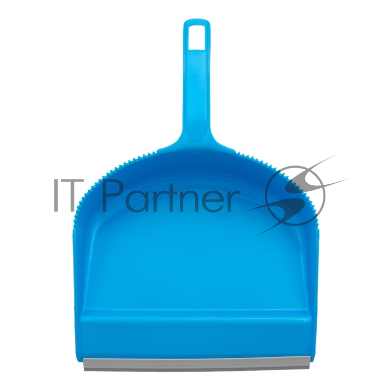 Набор: совок с кромкой 330x225 мм и щетка-сметка 285 мм, голубой, Home// Palisad