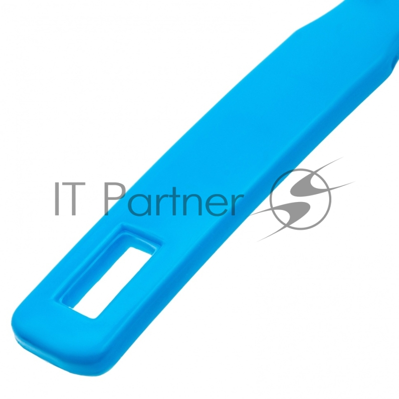 Набор: совок с кромкой 330x225 мм и щетка-сметка 285 мм, голубой, Home// Palisad