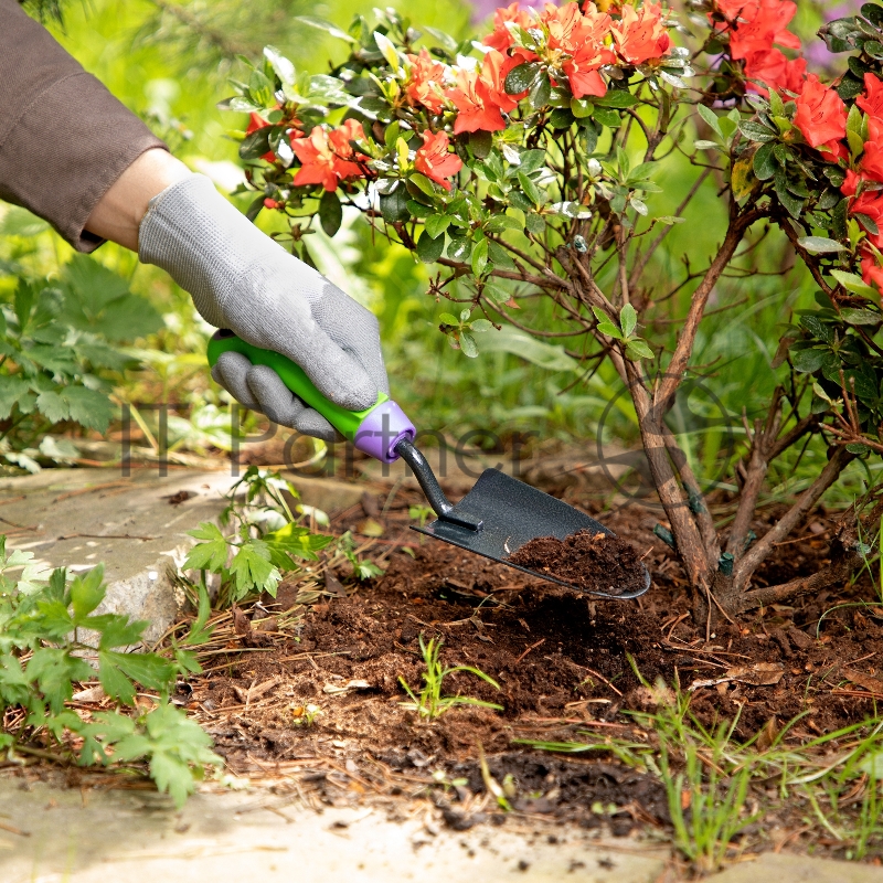 Совок посадочный узкий, 65х300 мм, стальной, обрезиненная эргономичная рукоятка, ERA// Palisad