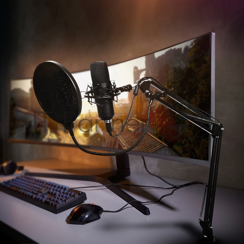 Микрофон проводной SunWind SW-SM400G 1.5м черный