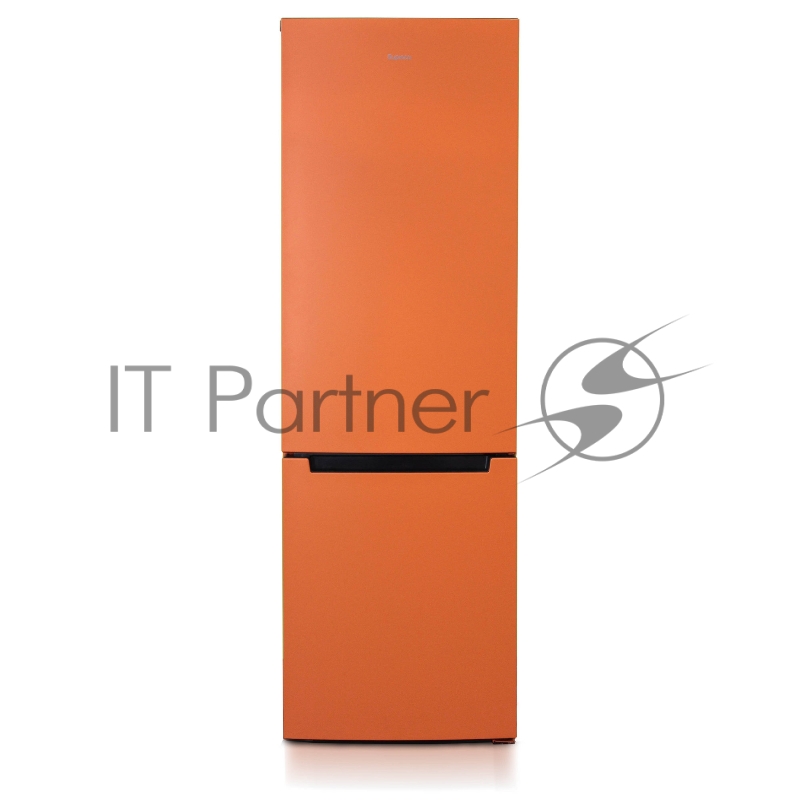 ХОЛОДИЛЬНИК-МОРОЗИЛЬНИК ТИПА I БИРЮСА-T860NF