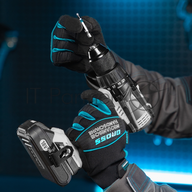 Набор бит TORX 10х50, сталь S2, 10 шт.// Gross