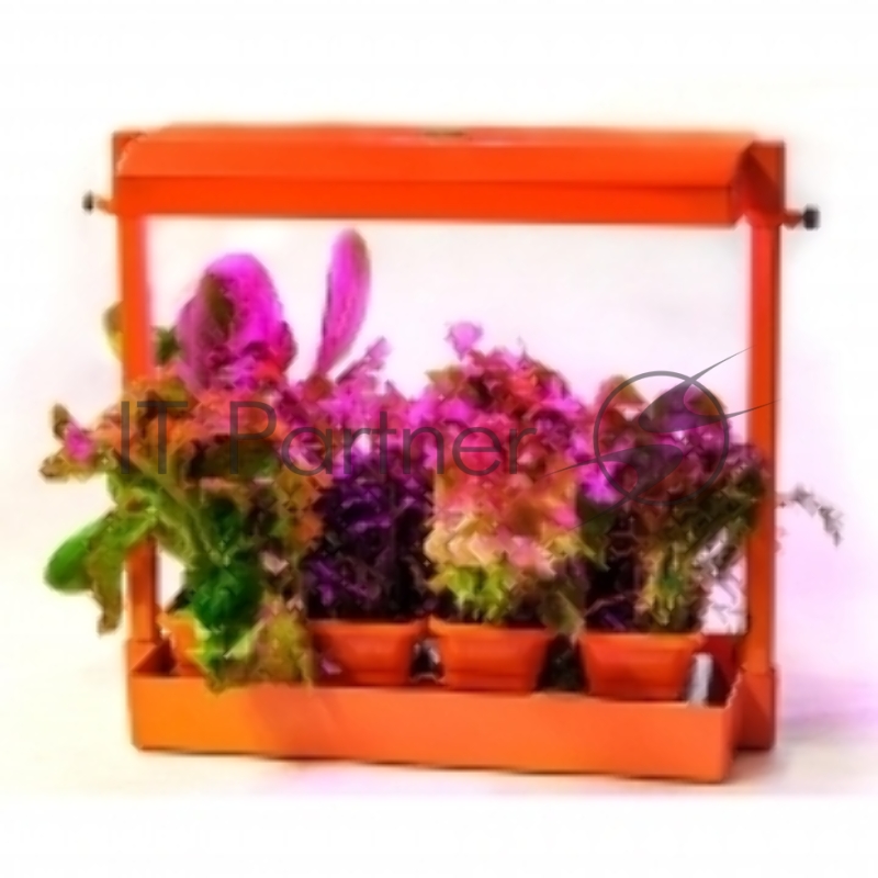 Мини-огород Волтера-Фито домашний, оранжевый (1шт)