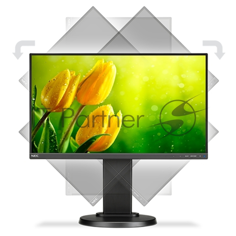 Монитор NEC 22'' E221N-BK monitor,Black