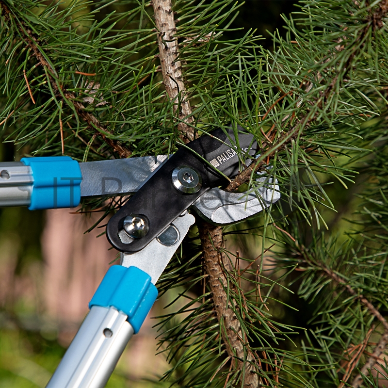Сучкорез прямого реза, 560-735 мм, телескопические алюминиевые рукоятки, LUXE// Palisad