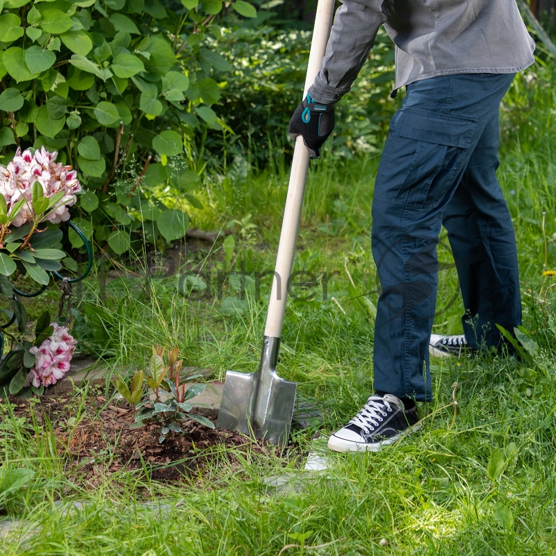 Лопата штыковая, нерж. сталь, 200х265 мм, ребра жесткости, без черенка, Россия// Сибртех