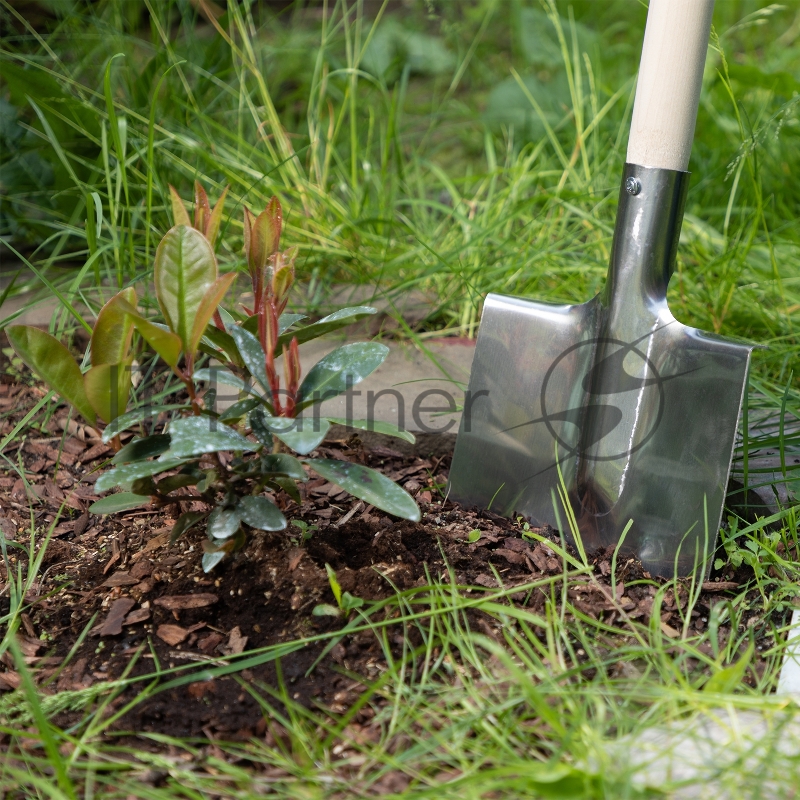 Лопата штыковая, нерж. сталь, 200х265 мм, ребра жесткости, без черенка, Россия// Сибртех