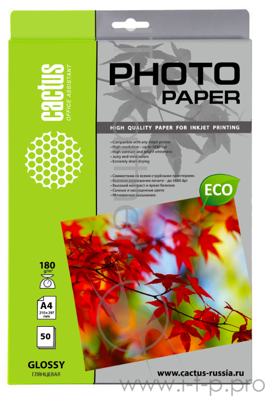 Бумага CACTUS CS-GA418050E Фотобумага для струйной печати, A4, 180г/м2, 50 листов