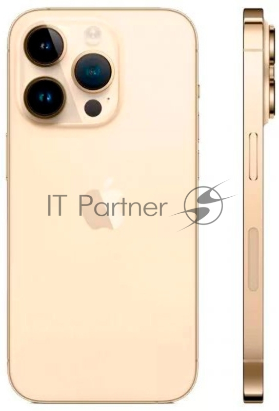 Смартфон Apple A2889 iPhone 14 Pro 256Gb 6Gb золотой моноблок 3G 4G 2Sim 6.1 1179x2556 iOS 16 48Mpix 802.11 a/b/g/n/ac/ax NFC GPS GSM900/1800 GSM1900 TouchSc Ptotect