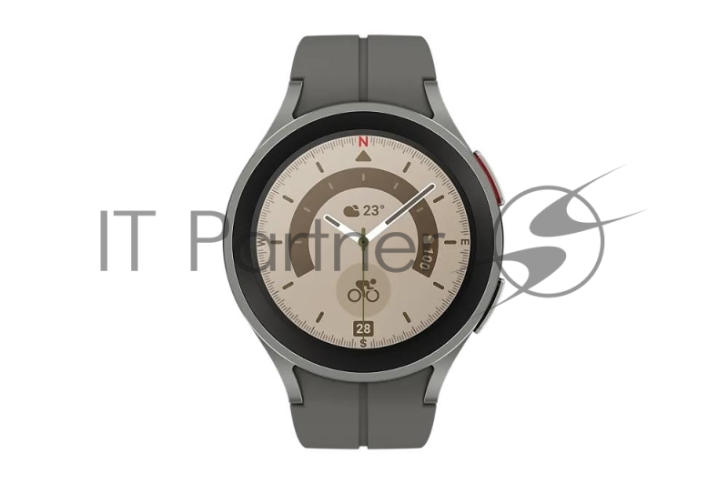 Умные часы SAMSUNG GALAXY WATCH 5 PRO 45MM GRAY SM-R860