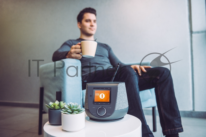 Радиоприемник настольный Hama DIR3200SBT черный USB