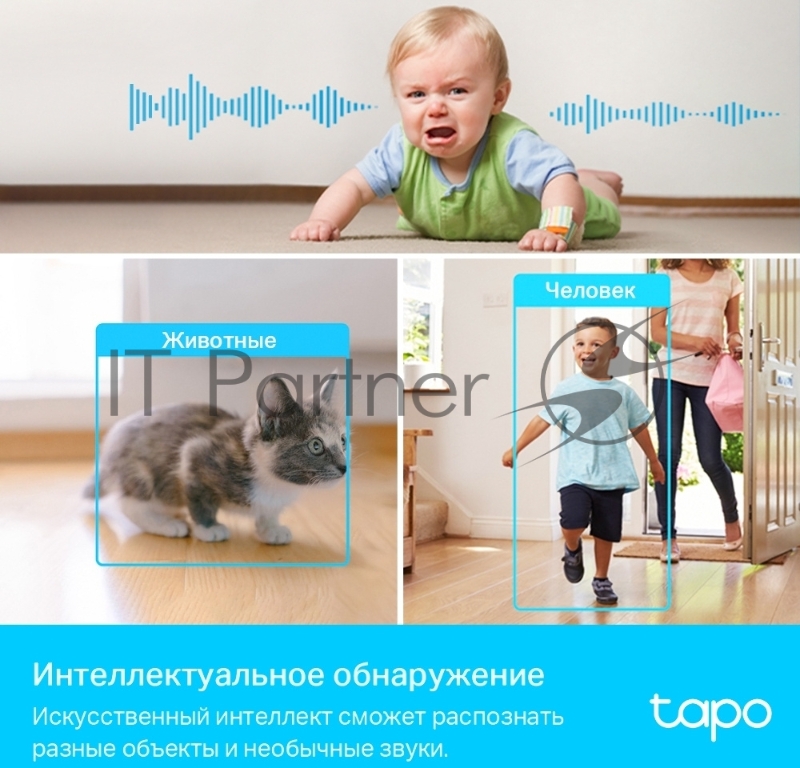 Умная домашняя поворотная камера TP-Link Tapo C225
