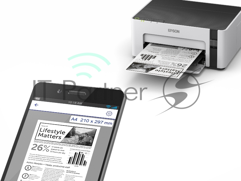 Монохромный принтер EPSON M1120 (110) C11CG96404