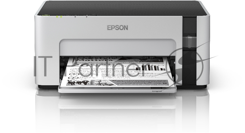 Монохромный принтер EPSON M1120 (110) C11CG96404