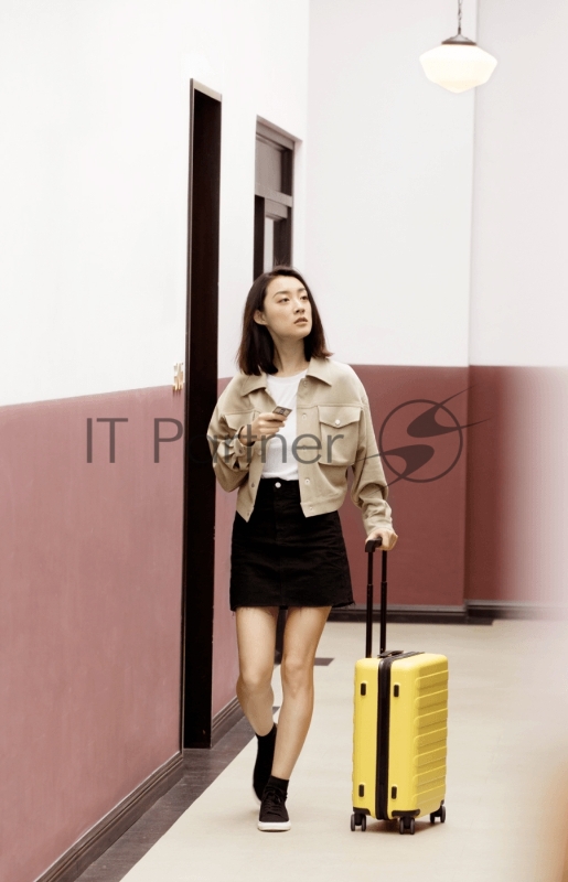 Чемодан NINETYGO Rhine Luggage 20 желтый