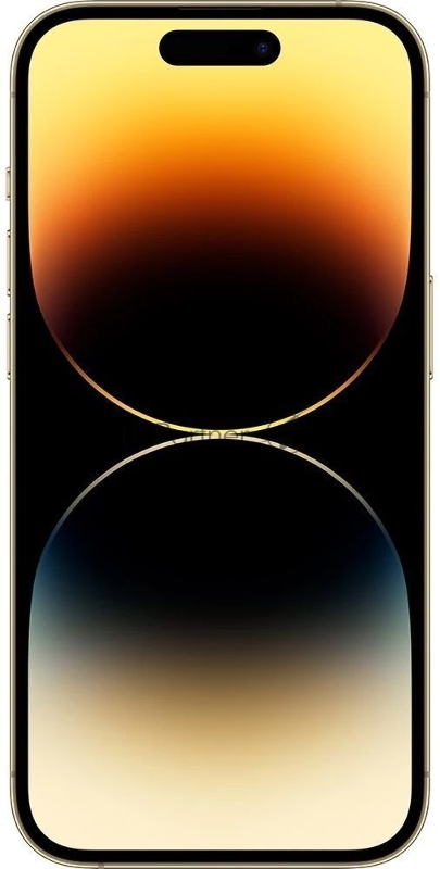 Смартфон Apple A2892 iPhone 14 Pro 256Gb 6Gb золотой моноблок 3G 4G 2Sim 6.1 1179x2556 iOS 16 48Mpix 802.11 a/b/g/n/ac/ax NFC GPS GSM900/1800 GSM1900 TouchSc Ptotect