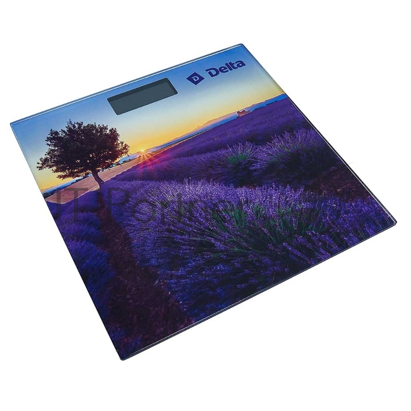 Весы напольные DELTA D-9302