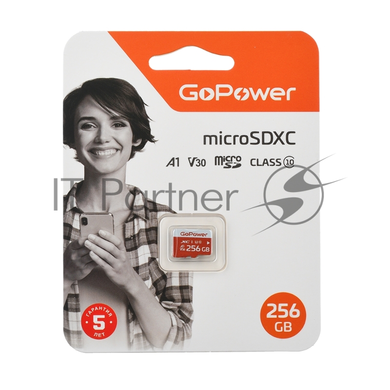 Карта памяти microSD GoPower 256GB Class10 UHS-I (U3) 100 МБ/сек V30 без адаптера