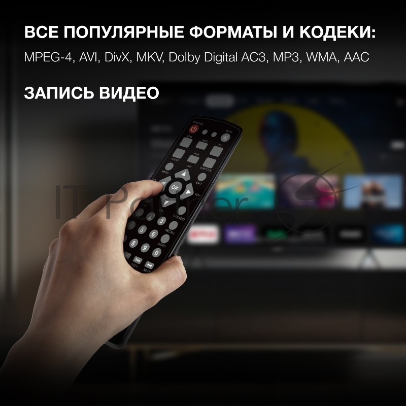 Цифровой TV ресивер HYUNDAI H-DVB240 черный