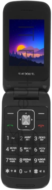 Мобильный телефон teXet TM-422 цвет антрацит