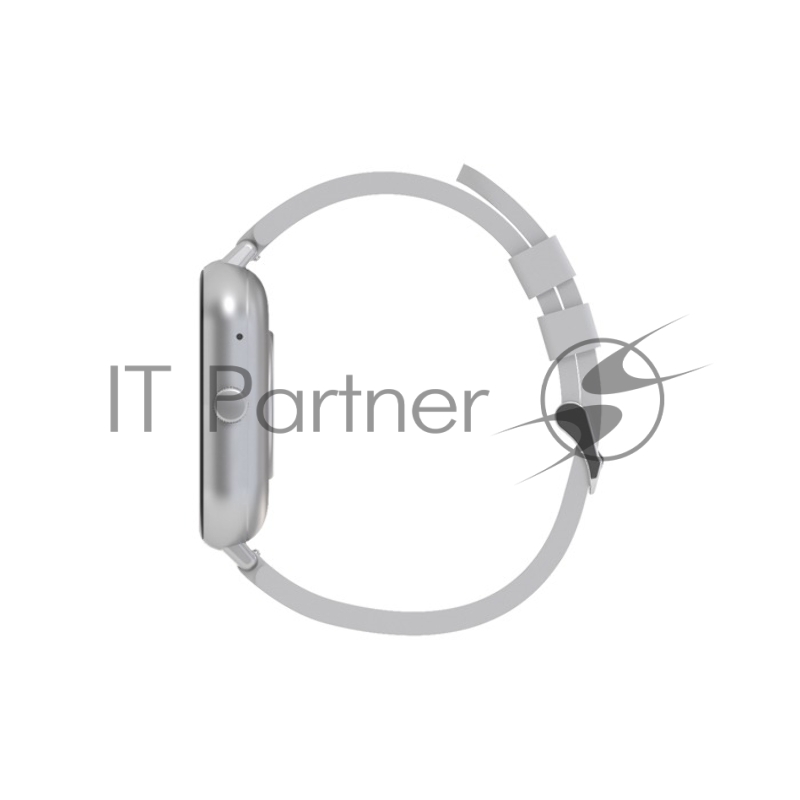 Смарт-часы Maxvi SW-02 grey