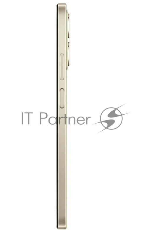 Смартфон Realme C53 256Gb 8Gb золотистый моноблок 3G 4G 6.74 720x1600 Android 13 50Mpix 802.11 b/g/n/ac NFC GPS GSM900/1800 GSM1900 TouchSc