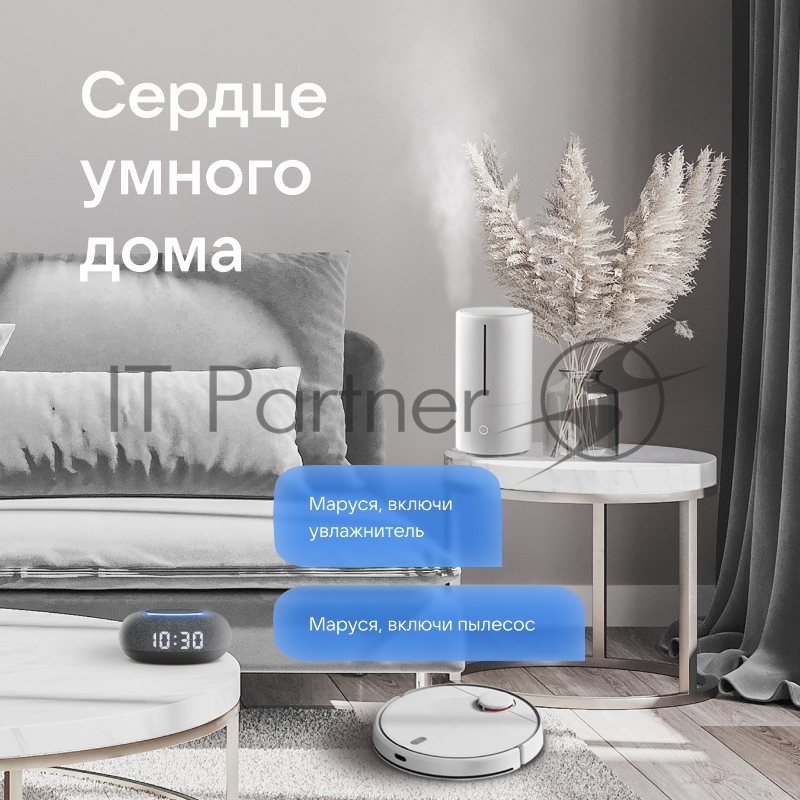 Умная колонка VK Капсула Мини Маруся темно-серый 5W 1.0 BT 10м (MRC02BK)