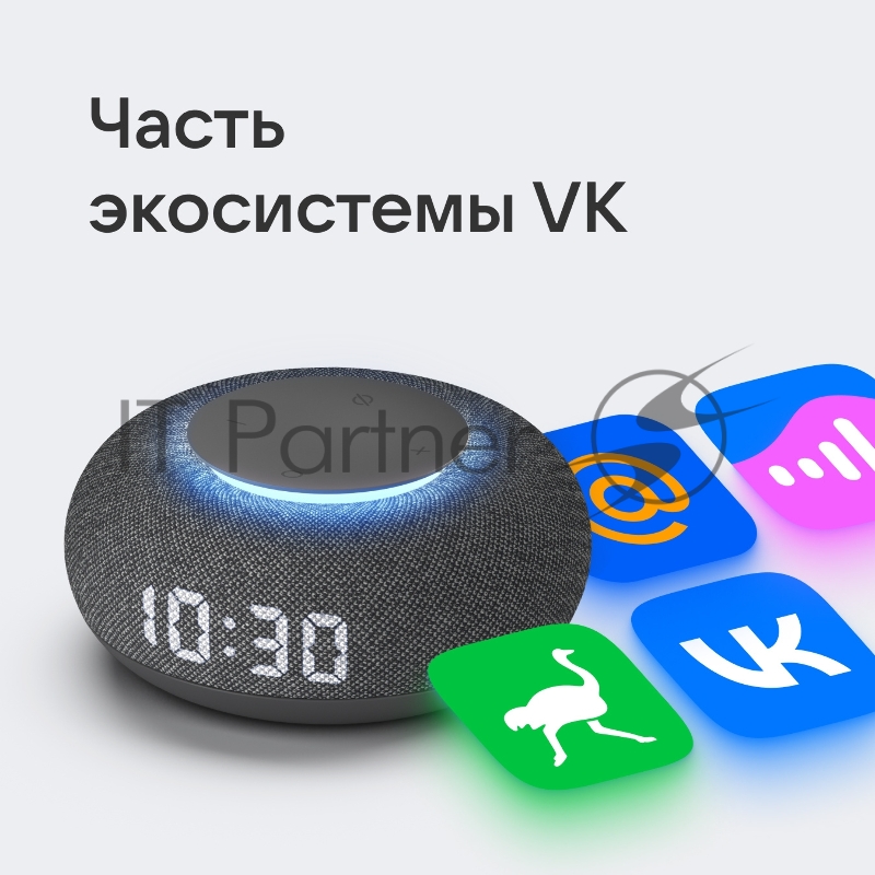 Умная колонка VK Капсула Мини Маруся темно-серый 5W 1.0 BT 10м (MRC02BK)