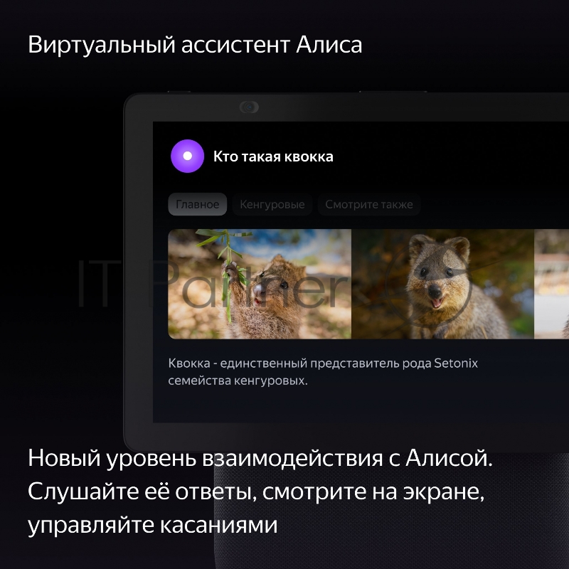 Умная колонка Яндекс Станция Дуо Макс YNDX-00055 с Алисой, с Zigbee black (YNDX-00055BLK)