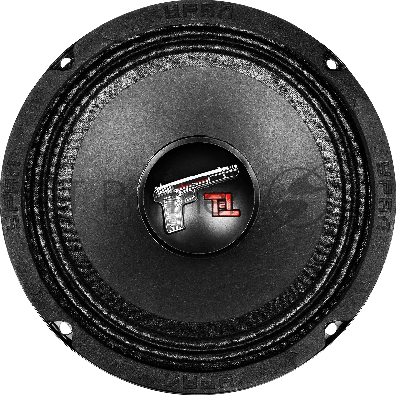 Колонки автомобильные Ural ТТ 165.2 (без решетки) 220Вт 95дБ 4Ом 16.5см (6 1/2дюйм) (ком.:2кол.) среднечастотные однополосные