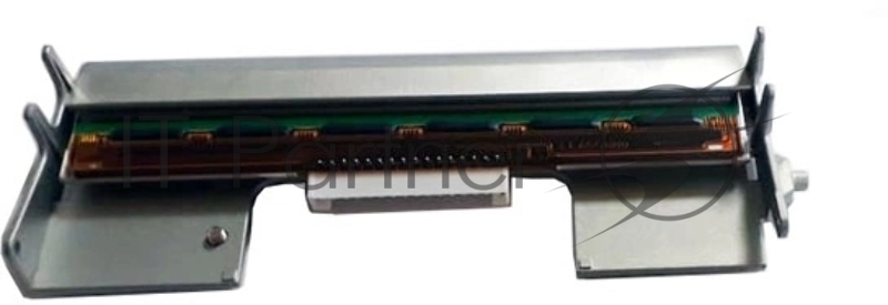 Печатающая головка для принтеров TSC серии TE200