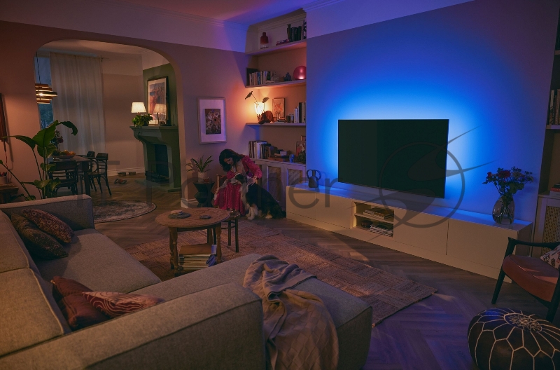 Телевизор LED Philips 55 55PUS8519/60 Series 8 серый антрацит 4K Ultra HD 60Hz DVB-T DVB-T2 DVB-C DVB-S DVB-S2 USB WiFi Smart TV (RUS)