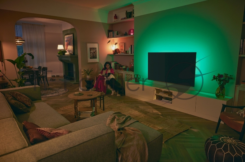 Телевизор LED Philips 65 65PUS8519/60 Series 8 серый антрацит 4K Ultra HD 60Hz DVB-T DVB-T2 DVB-C DVB-S DVB-S2 USB WiFi Smart TV